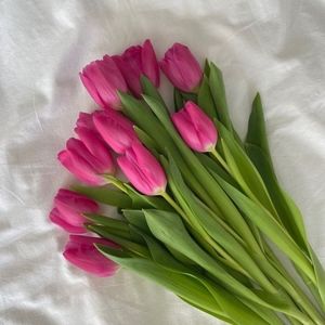 Meet your Posher, Bella